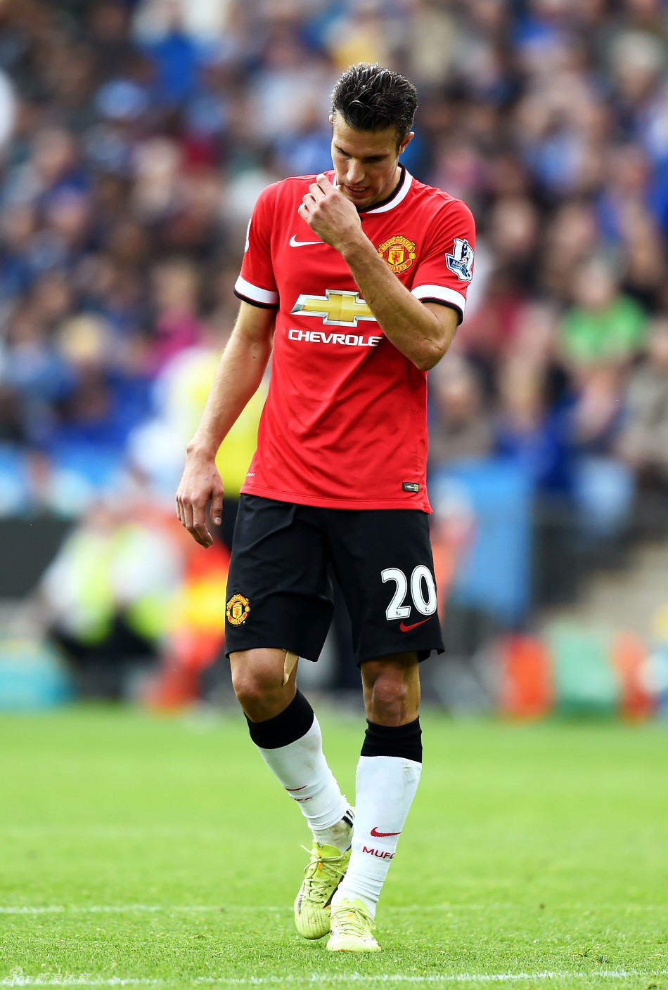 欧媒：活塞旧将比斯利接近与贝尔格莱德游击队签约