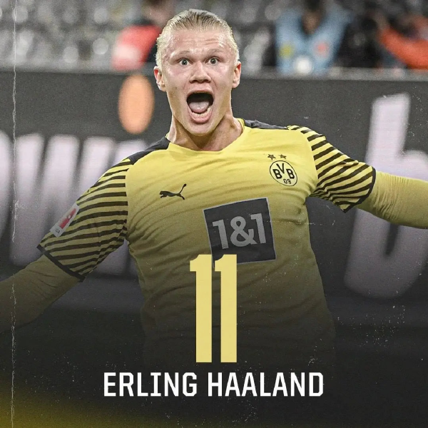 portal-home-overview